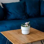 Appartement House Niko T With 6 Split